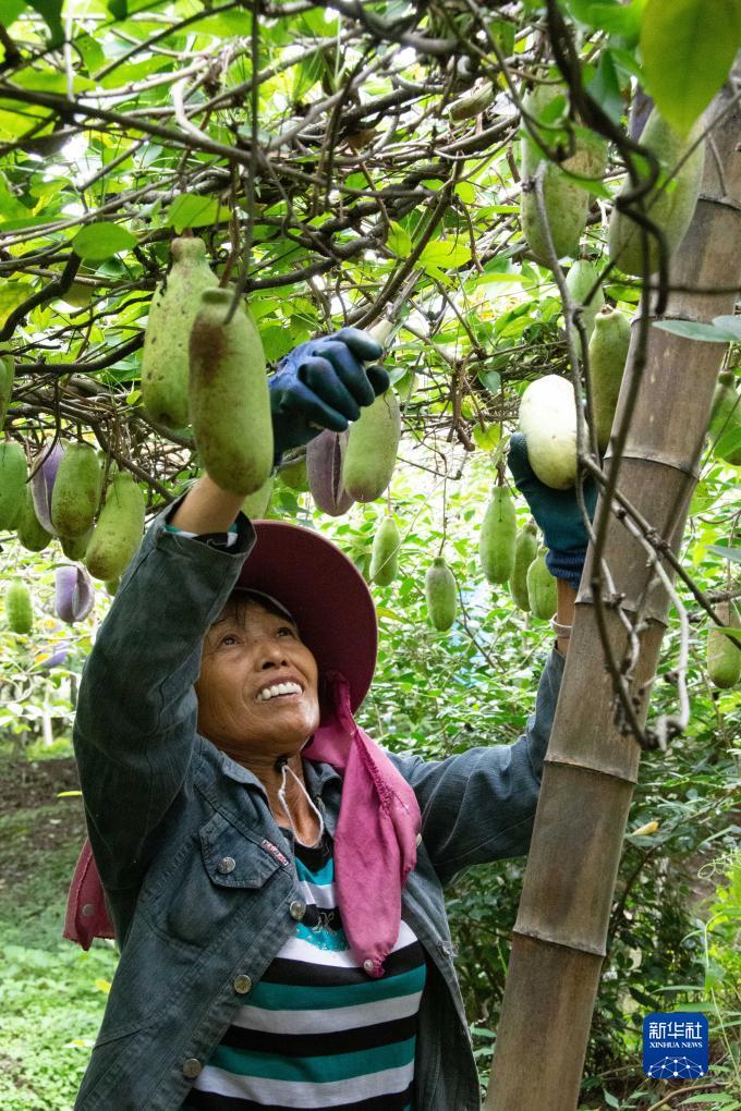 李逵捕鱼游戏下载